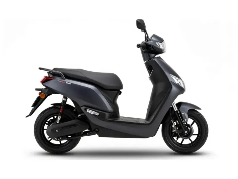 Electrika Motos Tailg D90