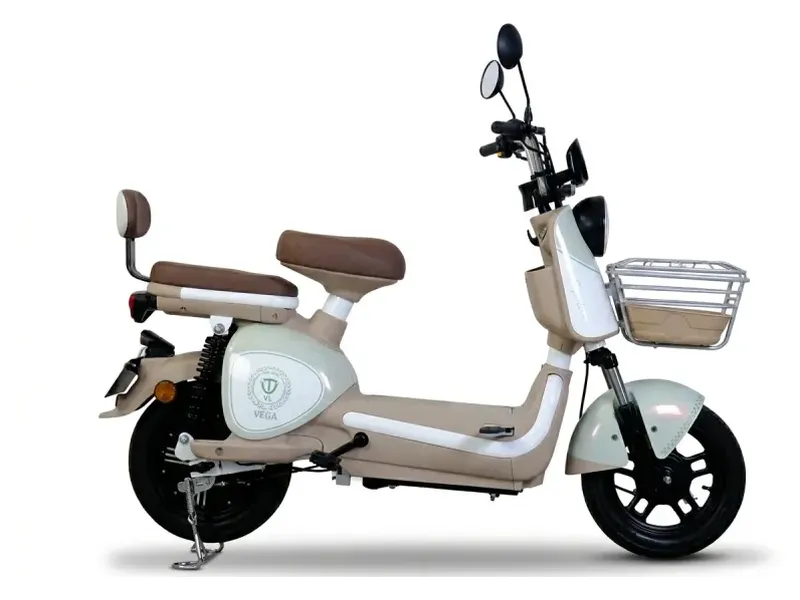 Electrika Motos Tailg Vega